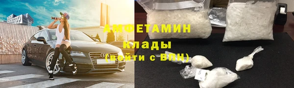 стафф Аркадак