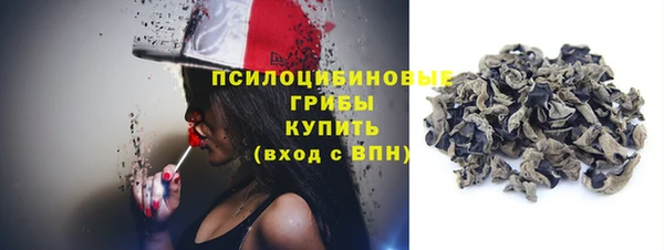 стафф Аркадак