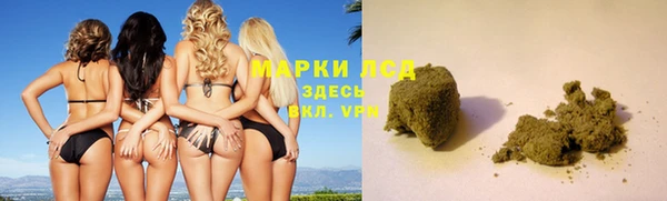 стафф Аркадак