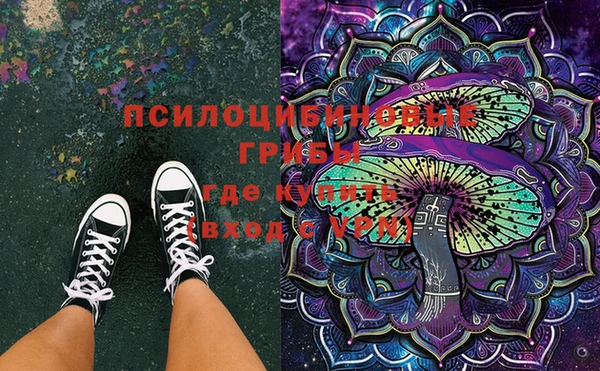 стафф Аркадак