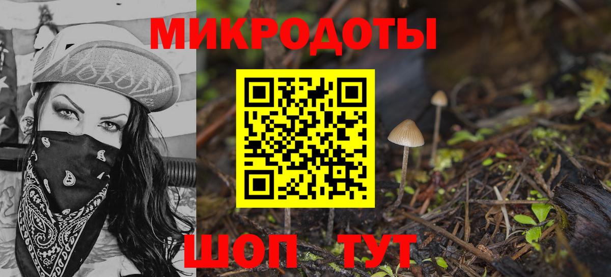 Новомосковск  Псилоцибиновые грибы Psilocybine cubensis  Вход с VPN  Галлюциногенные грибы мухоморы 